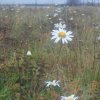 dscn0359_ 
